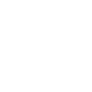 Boim Icon Piggybank